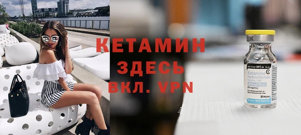 гидра Абаза