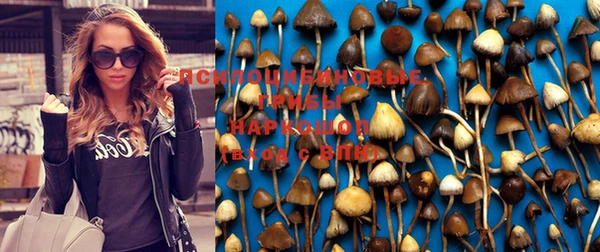гидра Абаза
