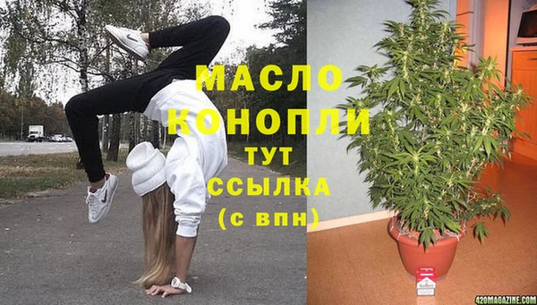 гидра Абаза