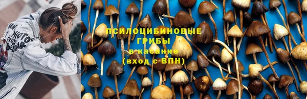 марки nbome Алексеевка