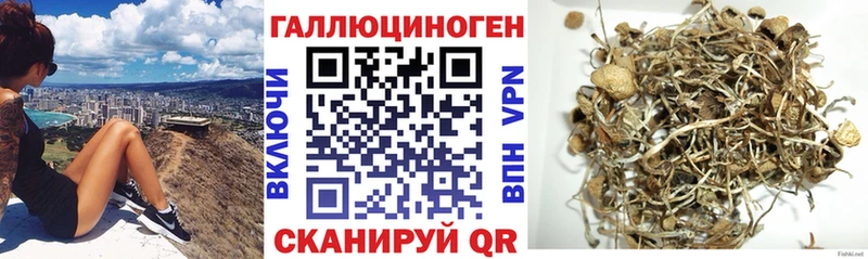 Галлюциногенные грибы GOLDEN TEACHER Нефтегорск